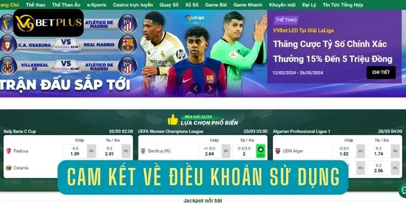 Những cam kết của người chơi khi tham gia cá cược V9bet