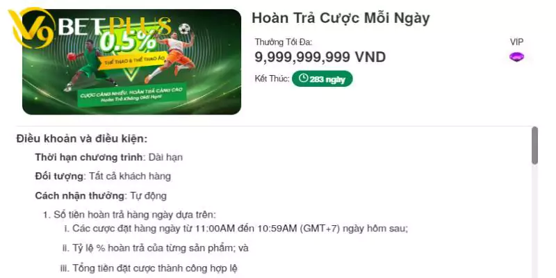 Điều kiện & điều khoản nhận hoàn trả cược mỗi ngày V9bet