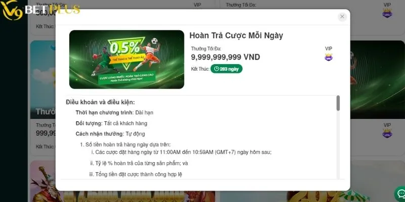 Hoàn trả tiền vốn cược mỗi ngày